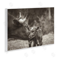 Nathan Larson | Longhorn Kiss Photography