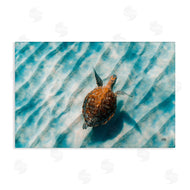 Max Blakesberg Studios | Sandbar Sea Turtle