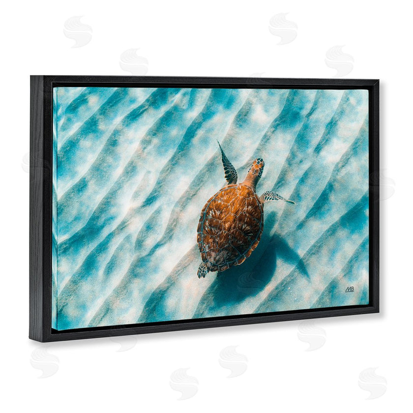 Max Blakesberg Studios | Sandbar Sea Turtle