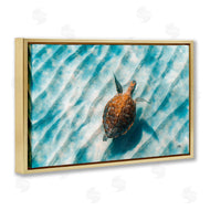 Max Blakesberg Studios | Sandbar Sea Turtle