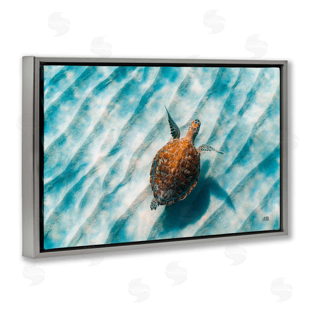 Sandbar Sea Turtle Grey Floating Frame Canvas Wall Art, Home Decor by Max Blakesberg Studios