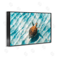 Max Blakesberg Studios | Sandbar Sea Turtle