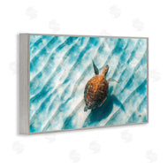 Max Blakesberg Studios | Sandbar Sea Turtle