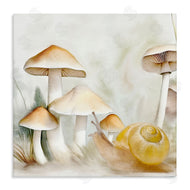 Kim Allen | Snail & Natural Mushrooms