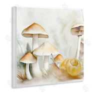 Kim Allen | Snail & Natural Mushrooms