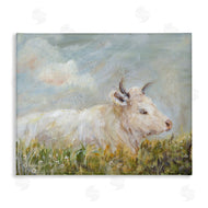 Amanda Hilburn | Subtle Cattle Sun Bathing