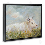 Amanda Hilburn | Subtle Cattle Sun Bathing