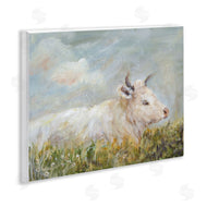 Amanda Hilburn | Subtle Cattle Sun Bathing