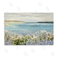 Amber Sterling | Daisy Field over Sea
