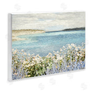 Amber Sterling | Daisy Field over Sea
