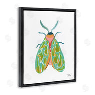 Jessica Mingo | Green Pattern Moth