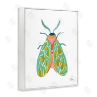 Jessica Mingo | Green Pattern Moth