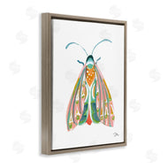 Jessica Mingo | Delicate Insect on White