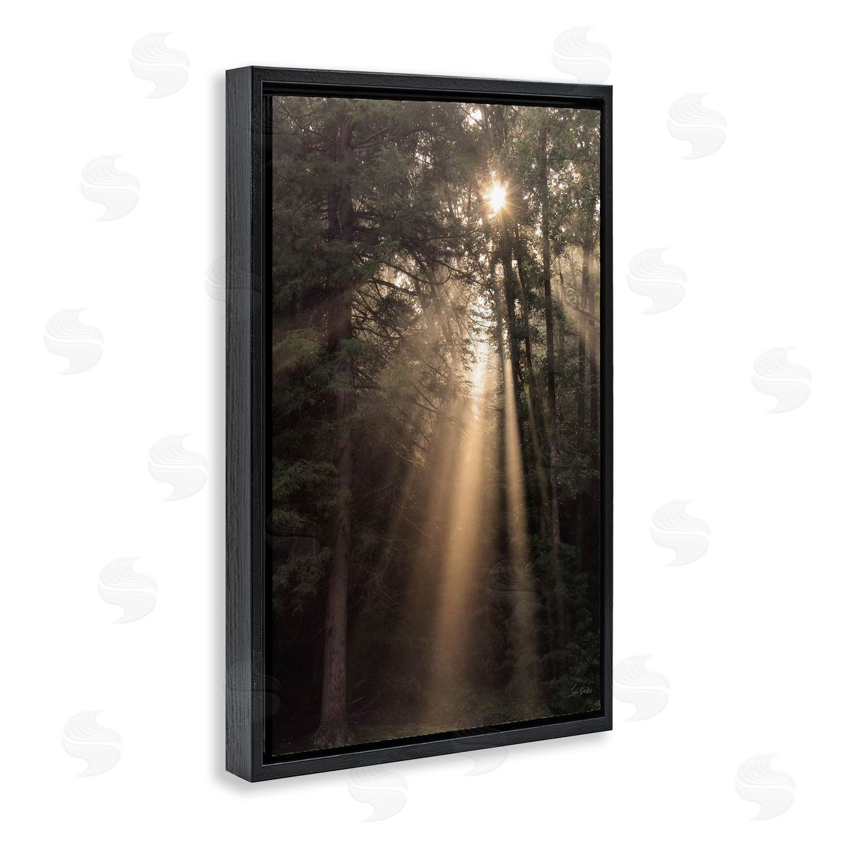 Sunlight Through Tree Canopy Black Floating Frame Canvas Wall Art, Home Decor by Lori Deiter