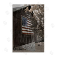 Lori Deiter | Colonial Flag on Barn