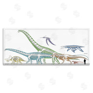 Lauren Rader | Educational Prehistoric Skeletons