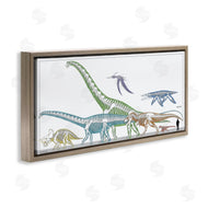 Lauren Rader | Educational Prehistoric Skeletons