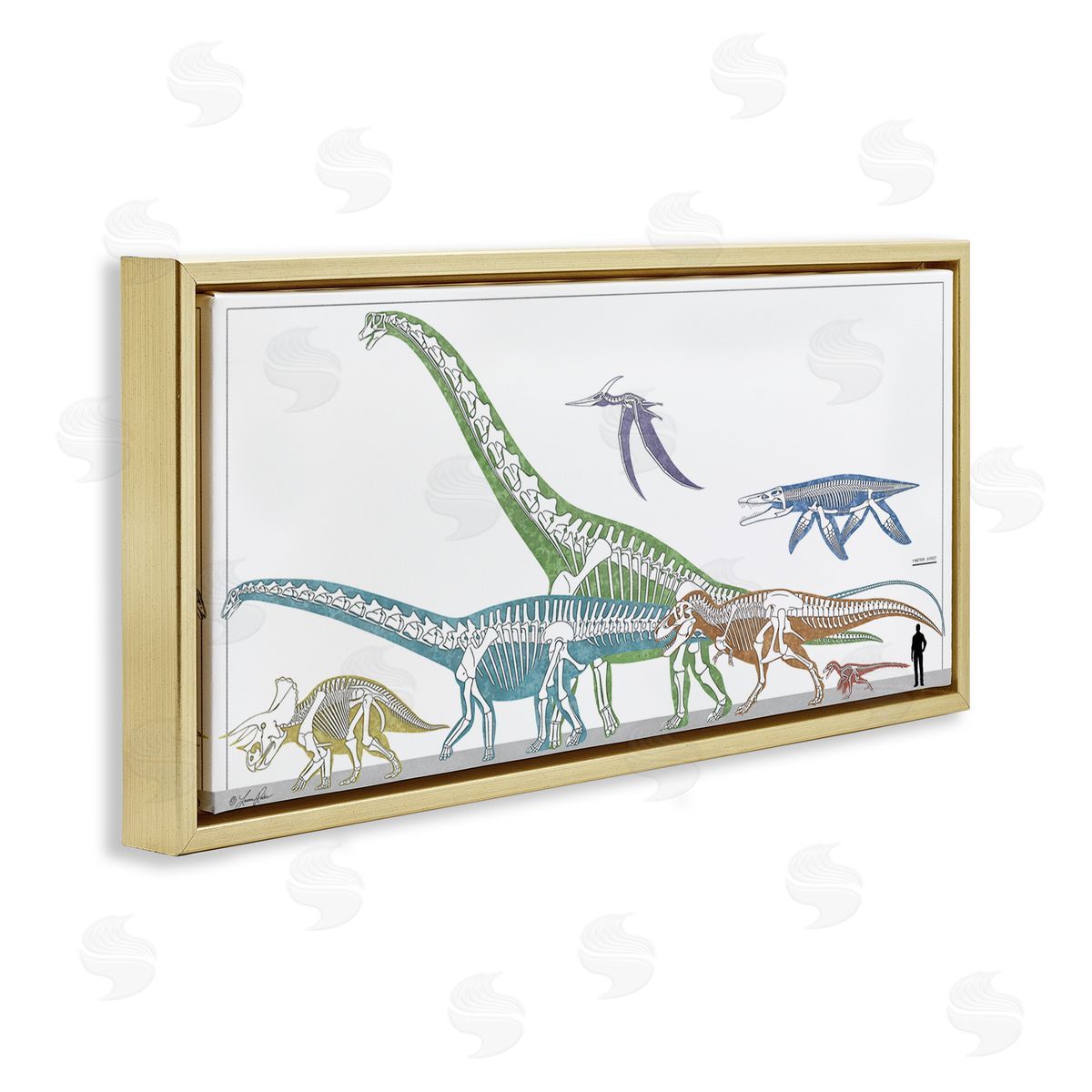 Educational Prehistoric Skeletons Gold Floating Frame Canvas Wall Art, Home Decor by Lauren Rader