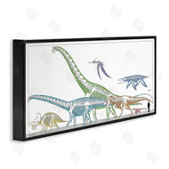 Lauren Rader | Educational Prehistoric Skeletons
