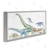 Lauren Rader | Educational Prehistoric Skeletons