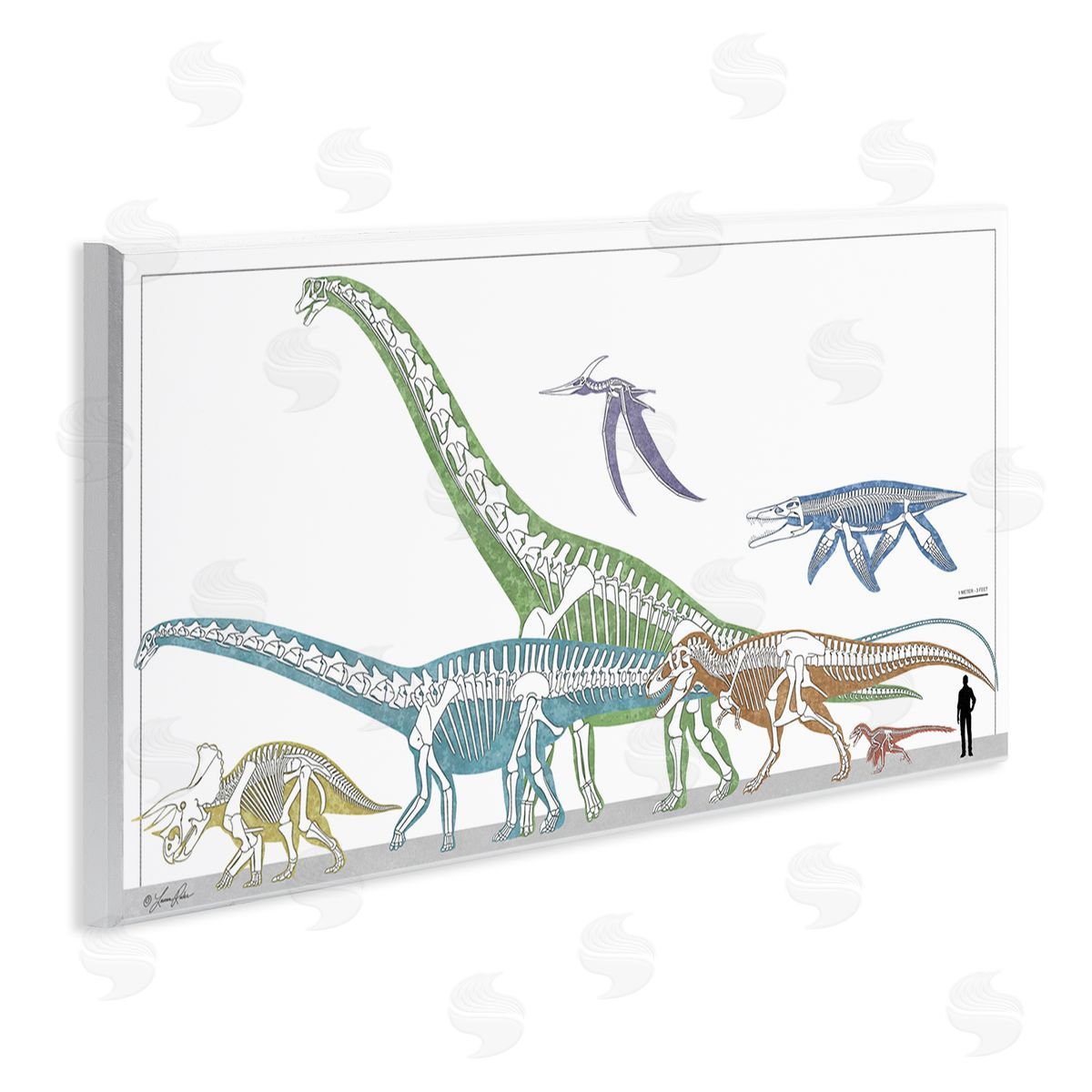 Educational Prehistoric Skeletons Wood Plaque Wall Art, Home Decor by Lauren Rader