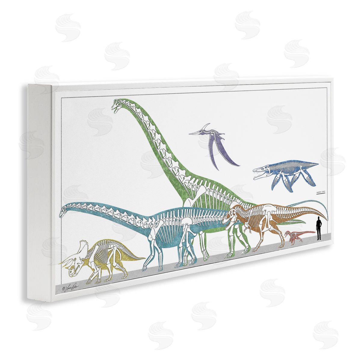 Educational Prehistoric Skeletons White Frame Print Wall Art, Home Decor by Lauren Rader
