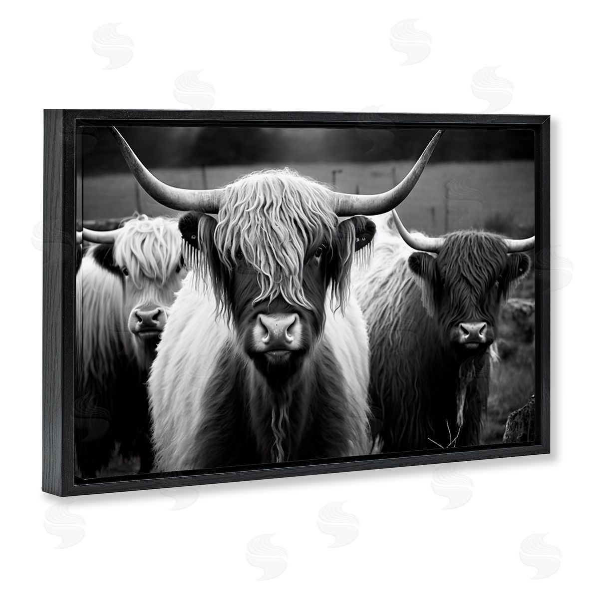 Black & White Highland Cows Black Floating Frame Canvas Wall Art, Home Decor by Franklyn Gregory