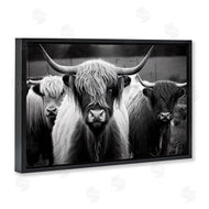 Franklyn Gregory | Black & White Highland Cows