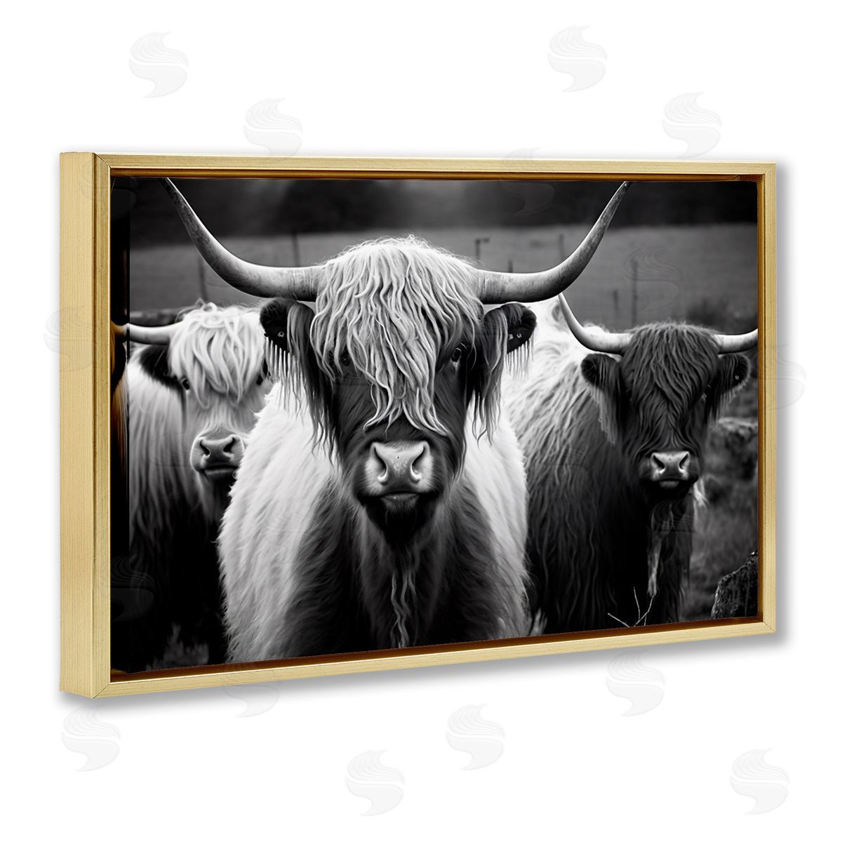 Black & White Highland Cows Gold Floating Frame Canvas Wall Art, Home Decor by Franklyn Gregory