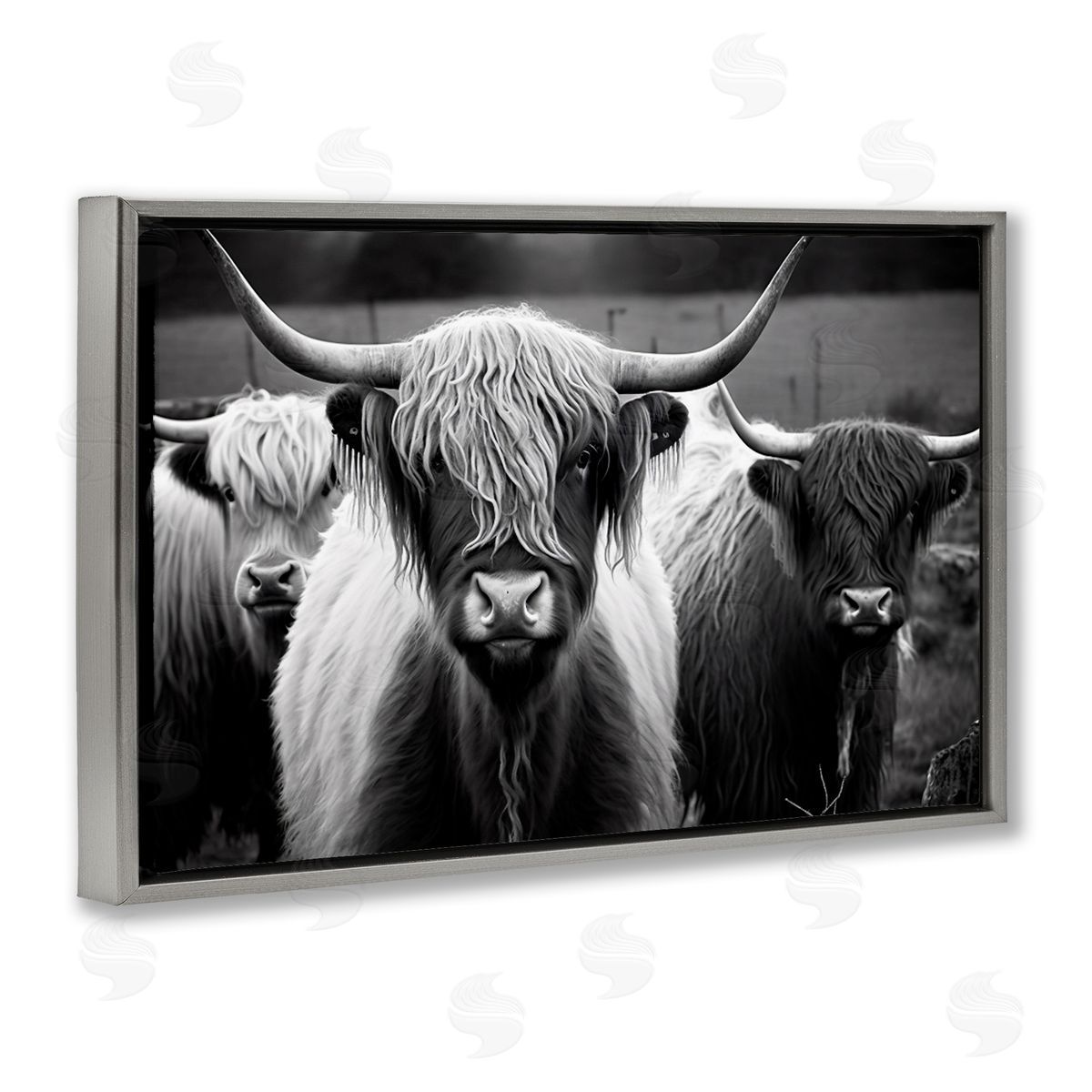 Black & White Highland Cows Grey Floating Frame Canvas Wall Art, Home Decor by Franklyn Gregory
