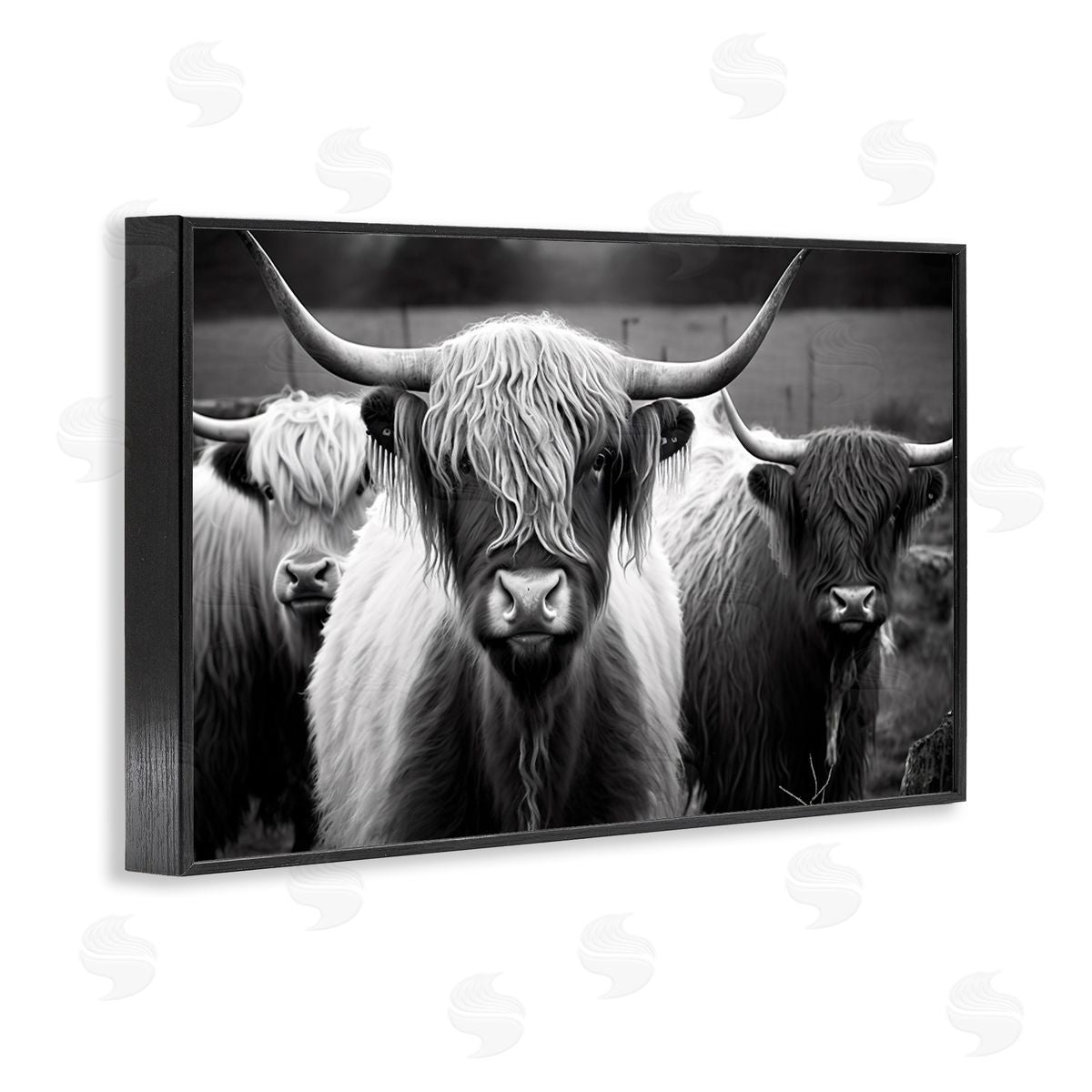 Black & White Highland Cows Black Frame Print Wall Art, Home Decor by Franklyn Gregory