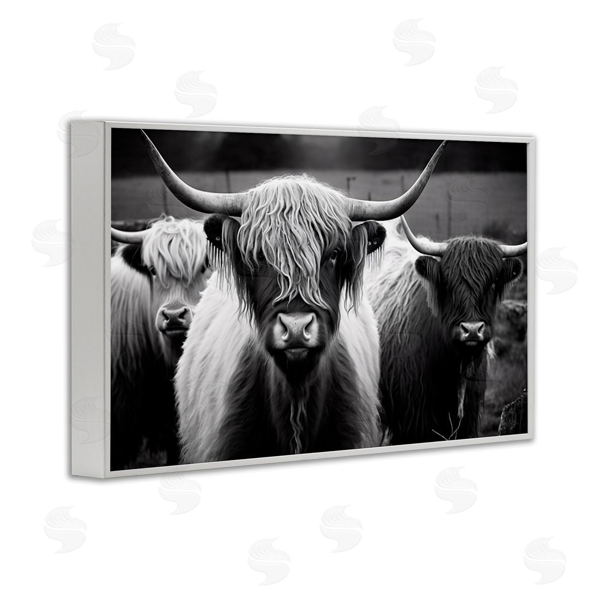 Black & White Highland Cows White Frame Print Wall Art, Home Decor by Franklyn Gregory