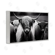 Franklyn Gregory | Black & White Highland Cows