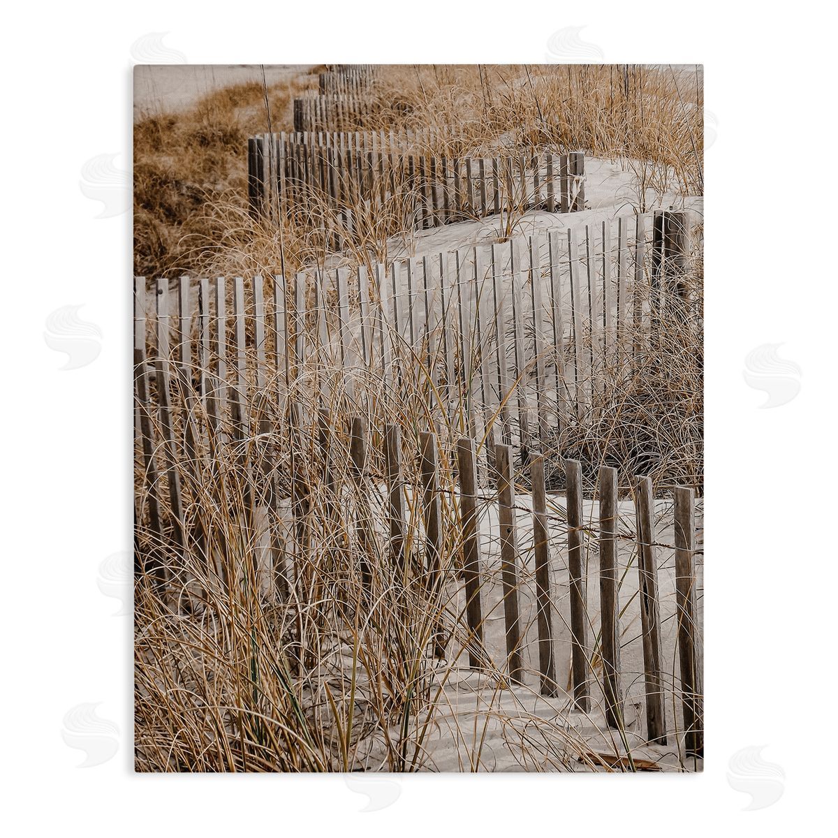 Snaking Beach Fence Canvas Wall Art, Home Decor by LSR Design Studio