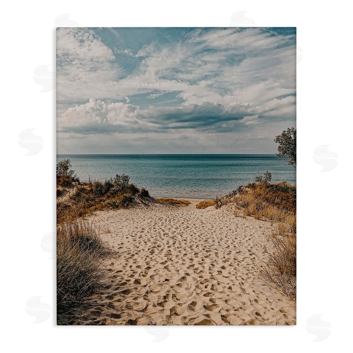 Traveled Beach Path Canvas Wall Art, Home Decor by LSR Design Studio