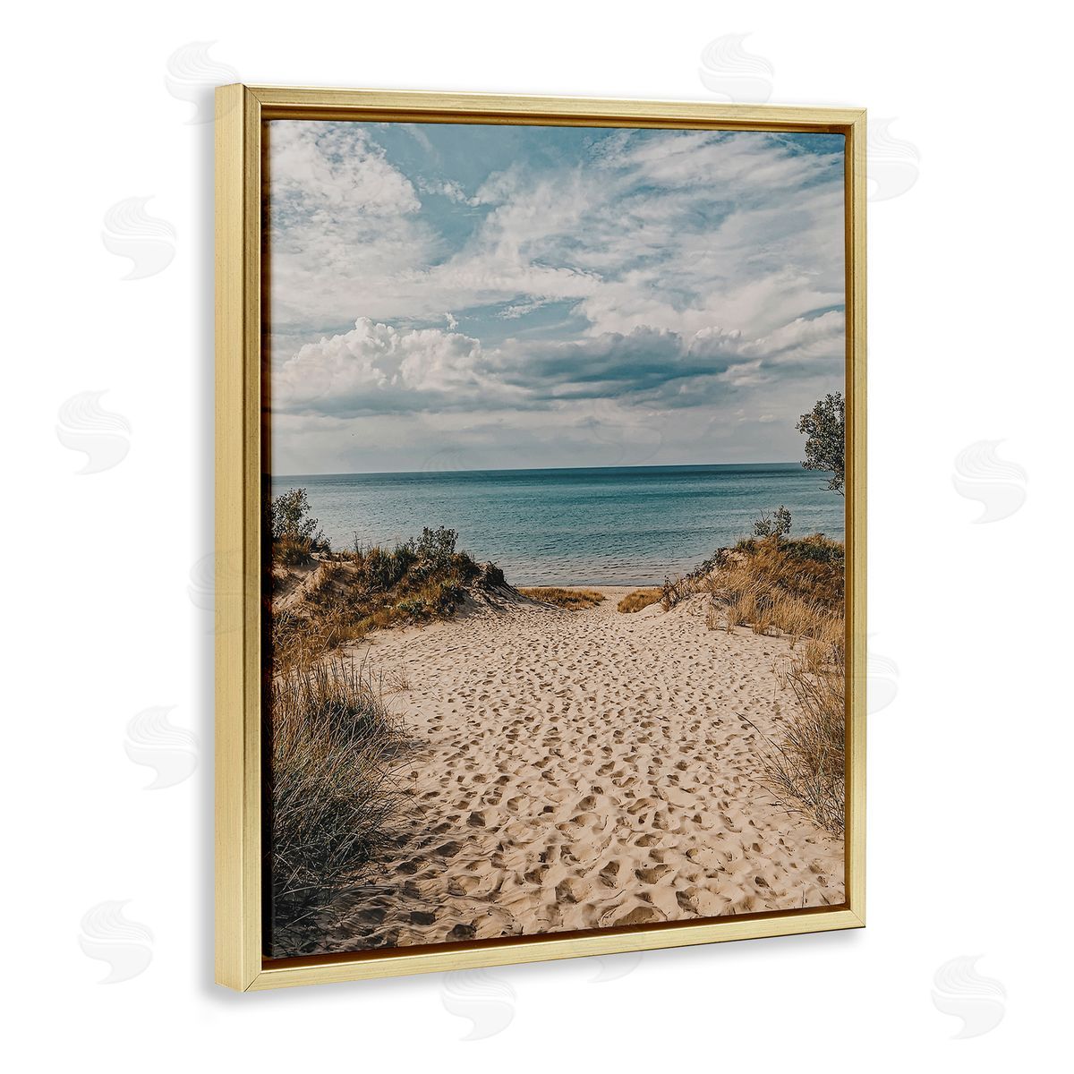Traveled Beach Path Gold Floating Frame Canvas Wall Art, Home Decor by LSR Design Studio