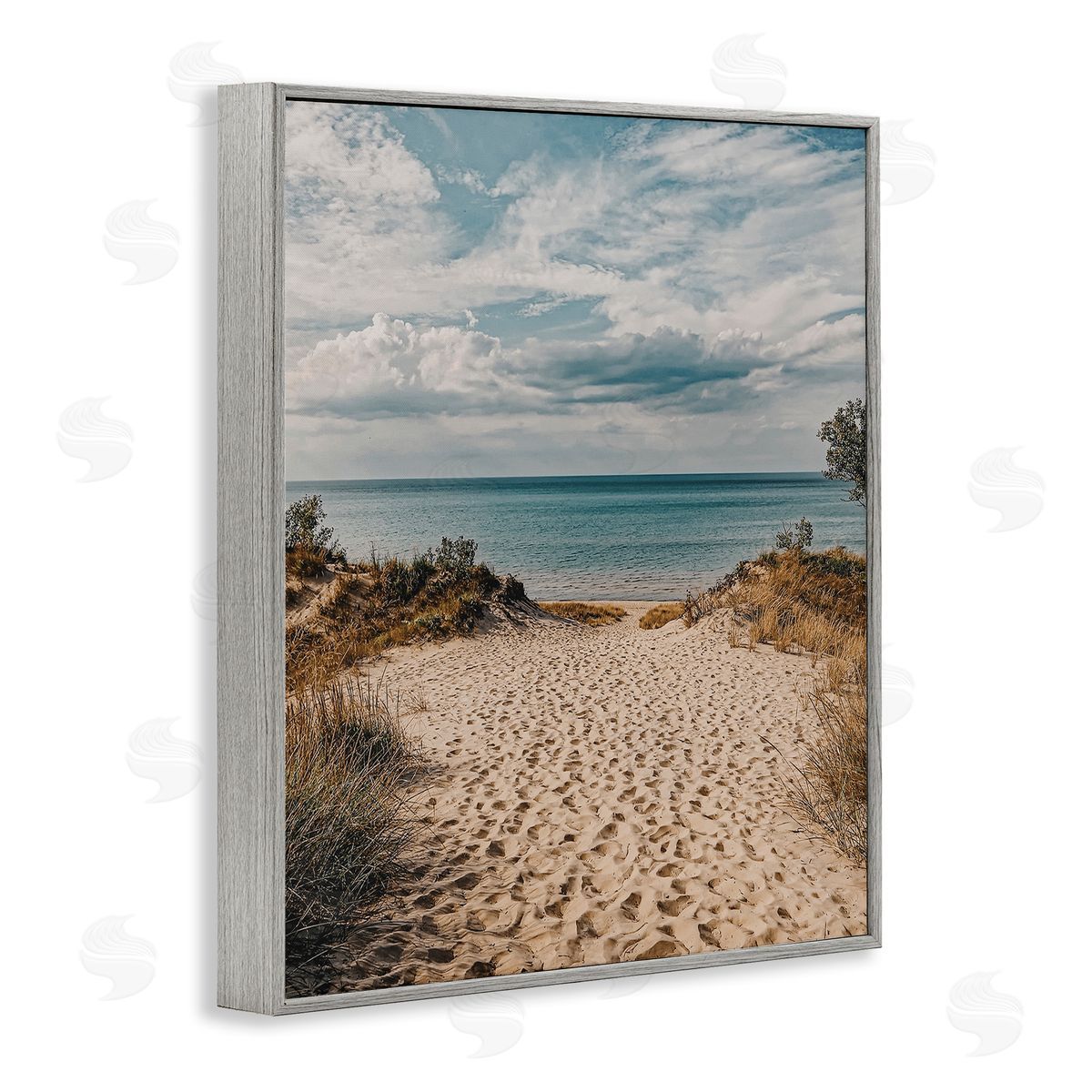 Traveled Beach Path Grey Frame Print Wall Art, Home Decor by LSR Design Studio
