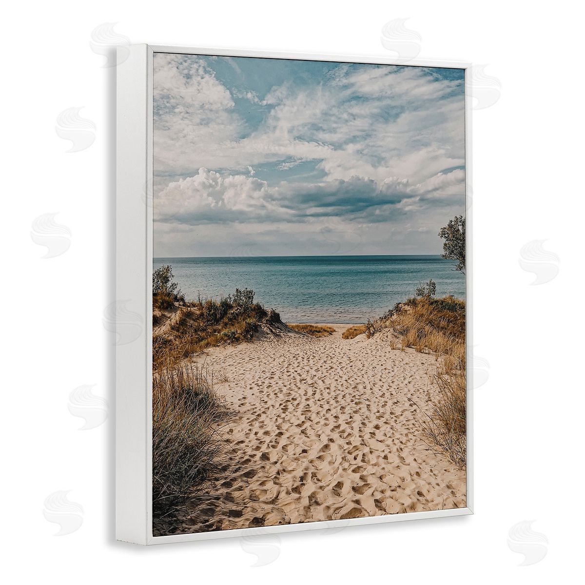 Traveled Beach Path White Frame Print Wall Art, Home Decor by LSR Design Studio