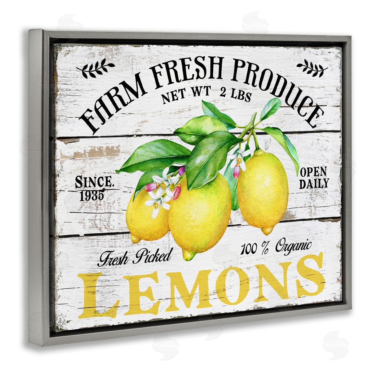 Farm Fresh Produce Lemons Grey Floating Frame Canvas Wall Art, Home Decor by Creatif Belle