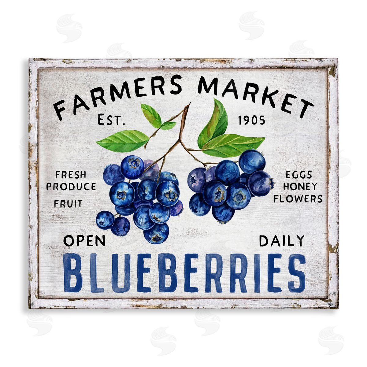 Farmers Market Blueberries Canvas Wall Art, Home Decor by Creatif Belle