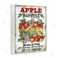 Creatif Belle | Fresh Apple Harvest