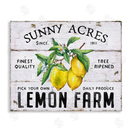 Creatif Belle | Sunny Acres Lemon Farm