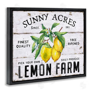 Creatif Belle | Sunny Acres Lemon Farm