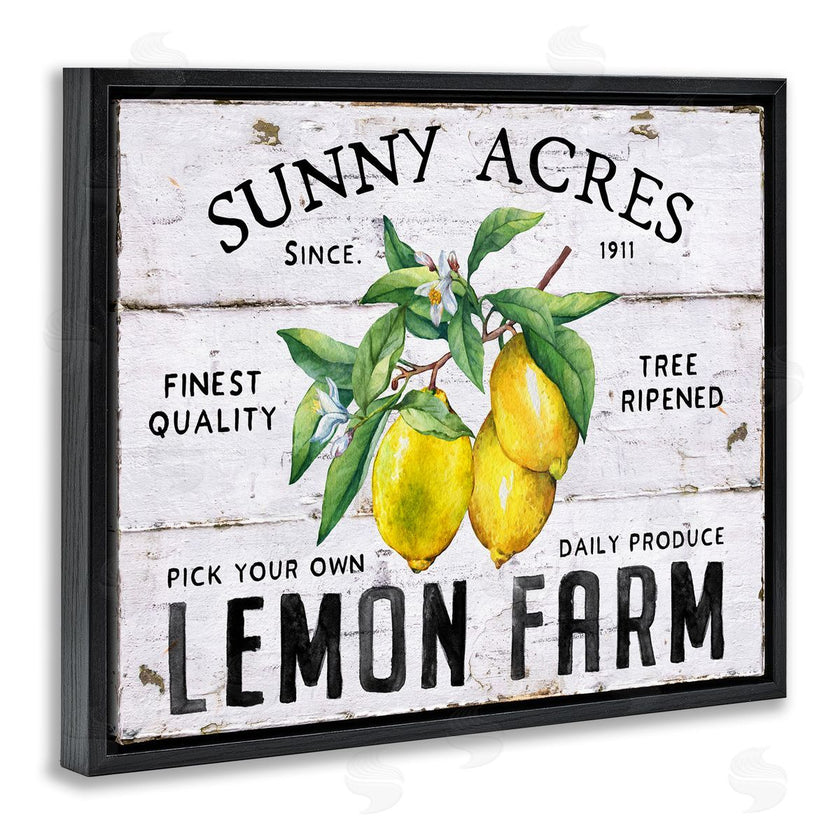 Creatif Belle | Sunny Acres Lemon Farm