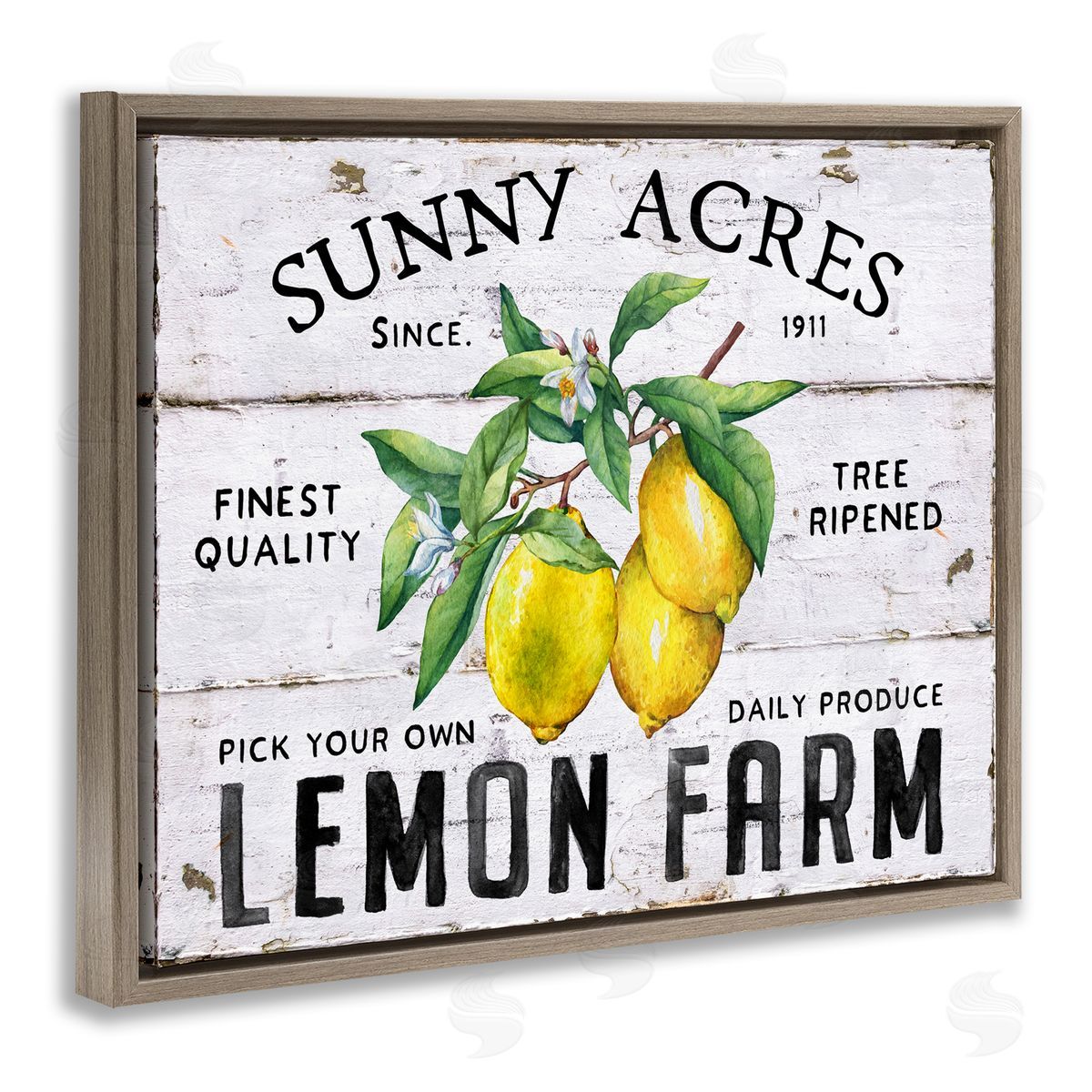 Sunny Acres Lemon Farm Brown Floating Frame Canvas Wall Art, Home Decor by Creatif Belle