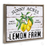 Creatif Belle | Sunny Acres Lemon Farm