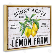 Creatif Belle | Sunny Acres Lemon Farm