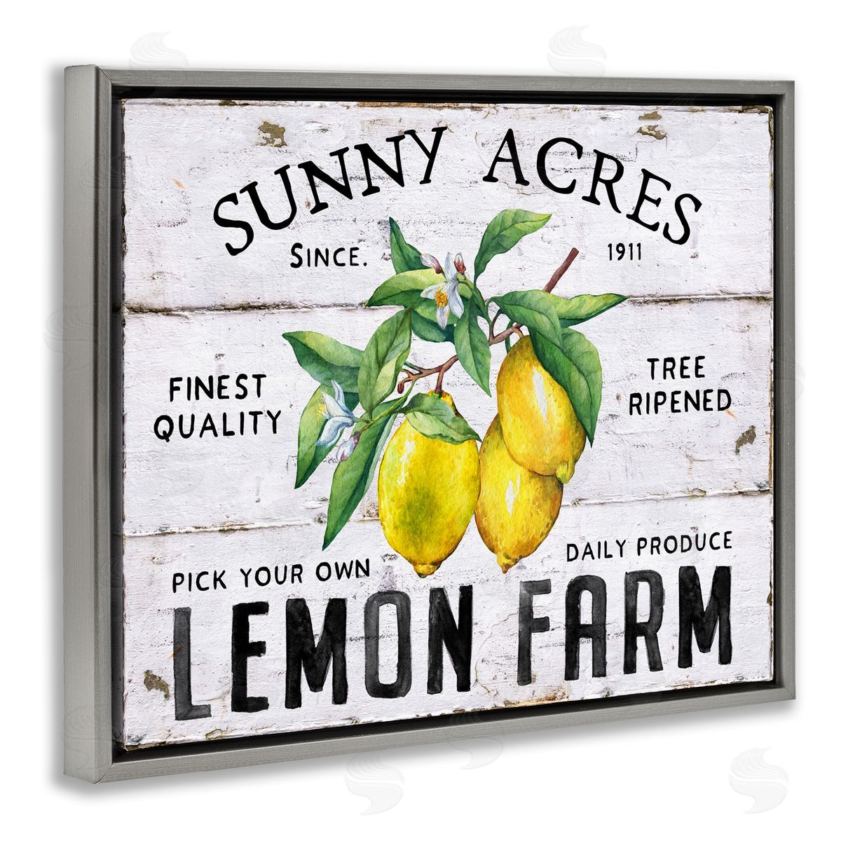 Sunny Acres Lemon Farm Grey Floating Frame Canvas Wall Art, Home Decor by Creatif Belle