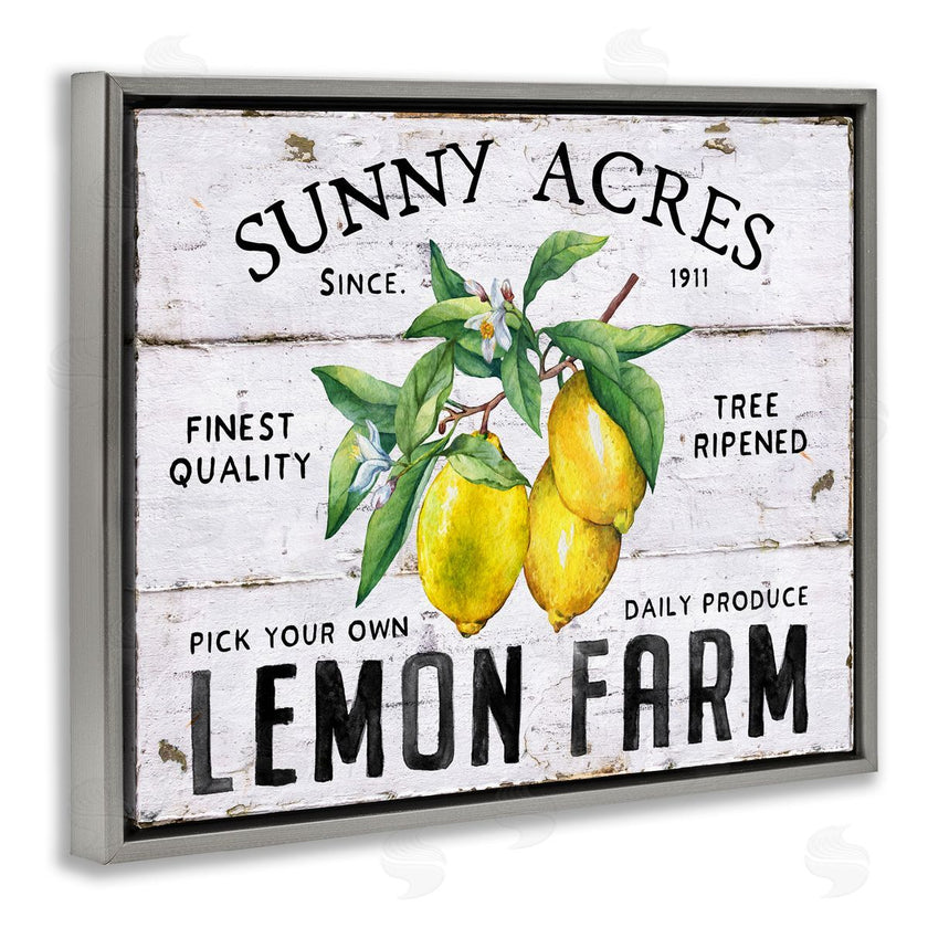 Creatif Belle | Sunny Acres Lemon Farm