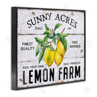 Creatif Belle | Sunny Acres Lemon Farm